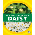 The Life Cycle of a Daisy