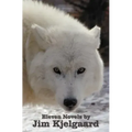 Eleven Novels by Jim Kjelgaard (complete and unabridged) including: The Spell of the White Sturgeon, The Lost Wagon, Trading Jeff and his Dog, Double