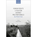 Human Rights Litigation Against Multinationals in Practice