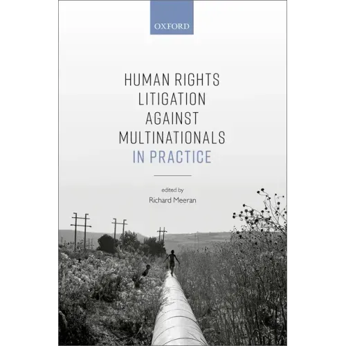 Human Rights Litigation Against Multinationals in Practice
