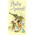 Baby Animals