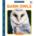 Barn Owls