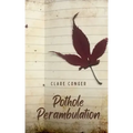Pothole Perambulation