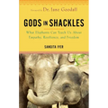 Gods in Shackles: What Elephants Can Teach Us about Empathy, Resilience, and Freedom