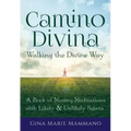 Camino Divina--Walking the Divine Way: A Book of Moving Meditations with Likely and Unlikely Saints