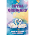 Extra Ordinary