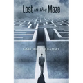 Lost in the Maze