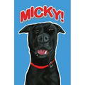 Micky!