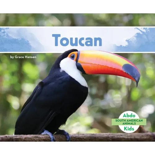 Toucan