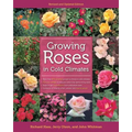Growing Roses in Cold Climates