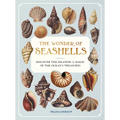 The Wonder of Seashells: Discover the Meaning & Magic of the Ocean's Treasures