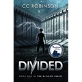 Divided: A Dystopian Adventure