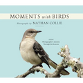 Moments with Birds: A Bird Photographer's Journey Through the Seasons