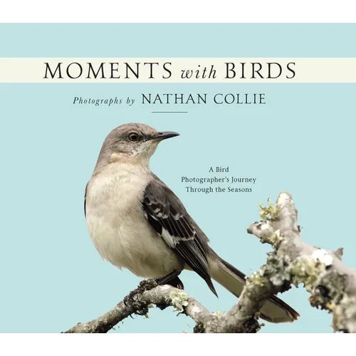 Moments with Birds: A Bird Photographer's Journey Through the Seasons