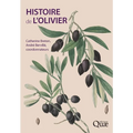 Histoire de l'olivier