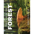 The Calm of the Forest 2025 Calendar