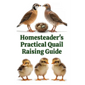 Homesteader's Practical Quail Raising Guide