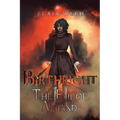 Birthright: The Fall of Aelland