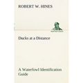Ducks at a Distance A Waterfowl Identification Guide