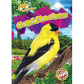 Goldfinches