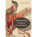 Stripped Bare: The Art of Animal Anatomy