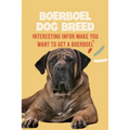 Boerboel Dog Breed: Interesting Infor Make You Want to Get a Boerboel: Boerboel Dog Breed Characteristics, Appearance, History