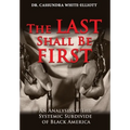 The Last Shall Be First: An Analysis of the Systemic Subdivide of Black America