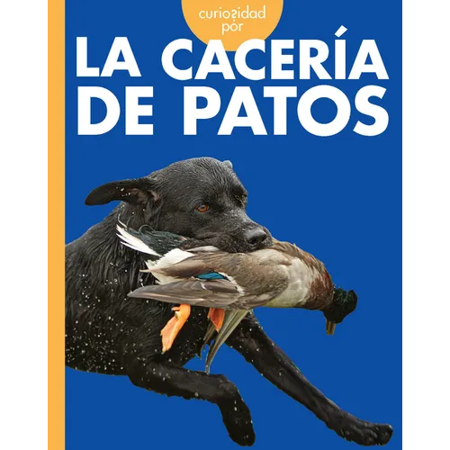 Curiosidad Por La Cacería de Patos