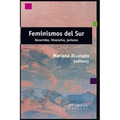 Feminismos del sur: Recorridos, itinerarios, junturas