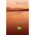 My Soul Waits: Solace for the Lonely in the Psalms