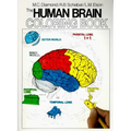The Human Brain Coloring Book