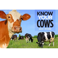 Know Your Cows