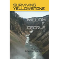 Surviving Yellowstone: The Last Great American War