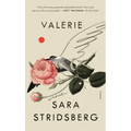 Valerie: Or, the Faculty of Dreams: A Novel