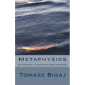 Metaphysics: A guided tour for beginners