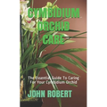Cymbidium Orchid Care: The Essential Guide To Caring For Your Cymbidium Orchid