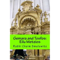 Gemara and Tosfos: Eilu Metzios