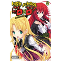 High School DXD, Vol. 8 (Light Novel): A Demon's Work Volume 8