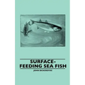 Surface-Feeding Sea Fish