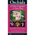 Orchids of New England & New York