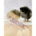 The Artificial Incubation of Eggs and the Brooding of Chicks