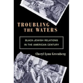 Troubling the Waters: Black-Jewish Relations in the American Century