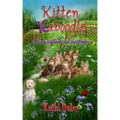Kitten Kaboodle