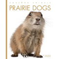 Prairie Dogs