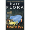 The Angel of Knowlton Park (a Joe Burgess Mystery, Book 2)