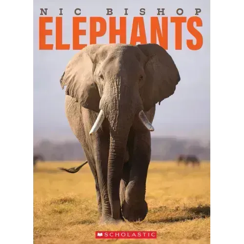 Nic Bishop Elephants