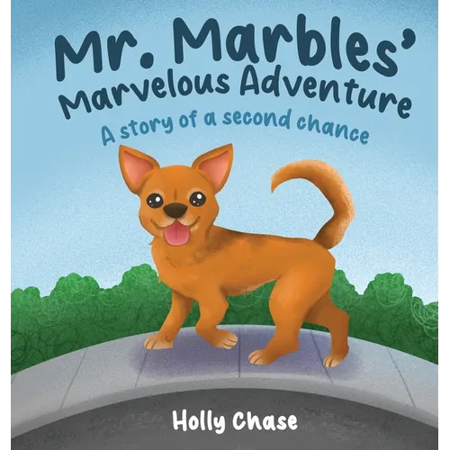 Mr. Marbles' Marvelous Adventure: A Story of a Second Chance