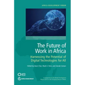 The Future of Work in Africa: Harnessing the Potential of Digital Technologies for All