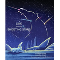 Link and the Shooting Stars