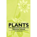 Plants - The Greenhouse and the Tropical House